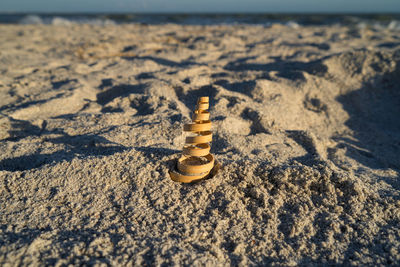 Close-up of shells on sand at beach against sky