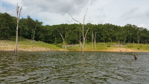 Scenic view of river by trees against sky