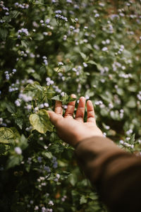 Midsection of person touching tree against plants