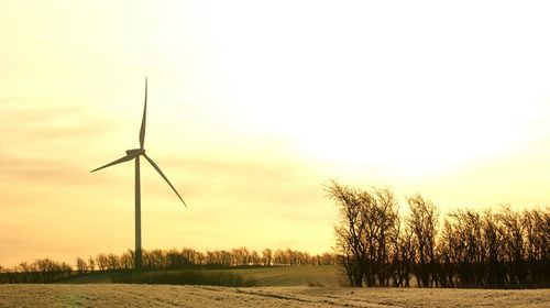 Scenic view of field against sky during sunset