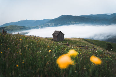 Scenic view of shack on grassy field against sky