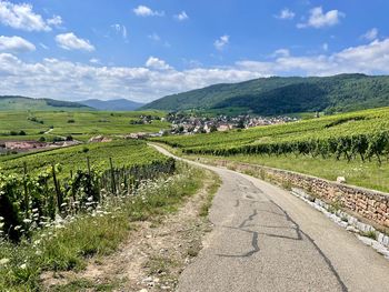 Scenic view of landscape against sky