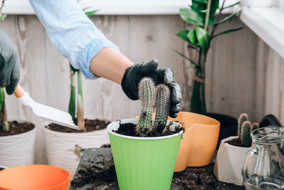 Man working on potted plant