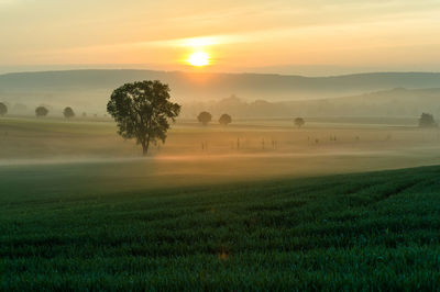 Scenic view of field against sky during sunset
