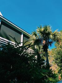 Low angle view of palm trees against clear blue sky