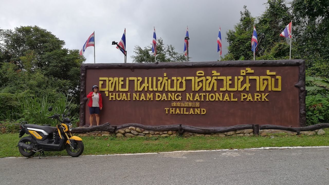 INFORMATION SIGN ON ROAD AGAINST TREES