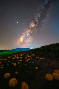 Scenic view of field against sky at night