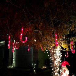 Close-up of red lights at night