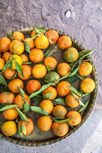 High angle view of oranges in plate