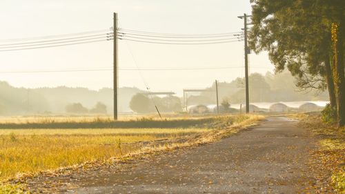 Road amidst field against clear sky