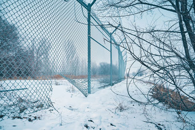 Bare trees on snow covered field