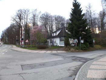 Road by trees and houses against sky