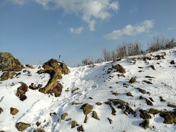 Snow covered field against sky