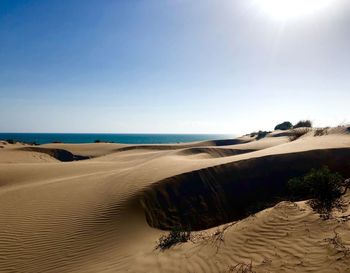 Scenic view of beach against clear sky