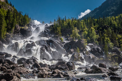 Beautiful view of waterfall in forest