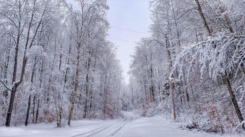 Snow covered road amidst trees during winter