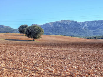 Scenic view of agricultural field against sky in piñar, granada, spain