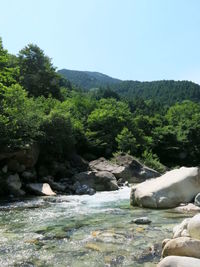 Scenic view of sea against clear sky