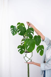 Handmade green macrame plant hangers with potted  are hanging on woman hand. pot and monstera plant