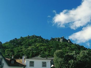 Low angle view of trees against blue sky