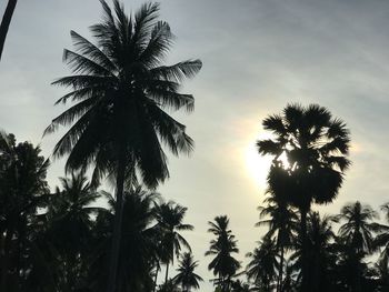 Low angle view of silhouette palm trees against sky