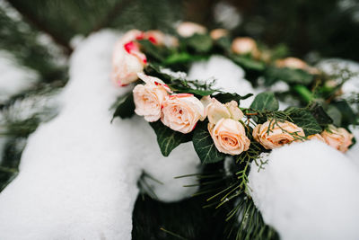 Close-up of rose flower wreath