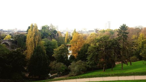 Trees in city against clear sky