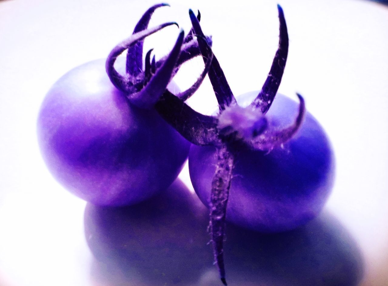 CLOSE-UP OF PURPLE FRUIT