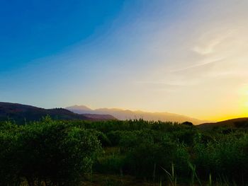 Scenic view of field against sky during sunset