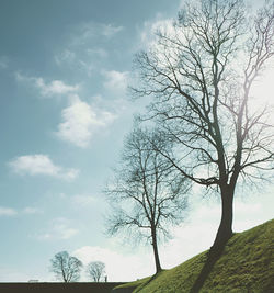 Low angle view of bare tree against sky