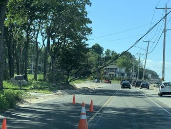 Road by trees in city against sky