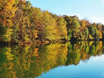 Trees by lake against sky during autumn