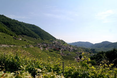 Scenic view of agricultural field against sky