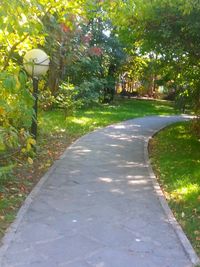 Footpath in park