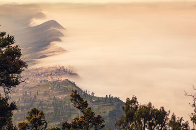 Scenic view of tree mountains against sky