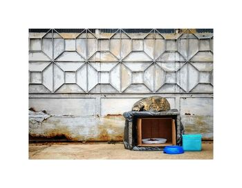 Closed window of abandoned building