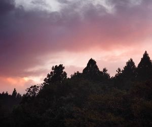 Low angle view of silhouette trees against sky during sunset