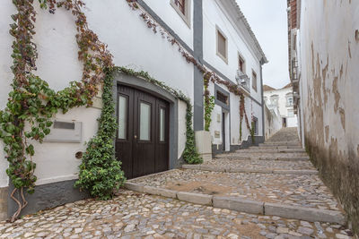 Alley amidst houses and buildings in city