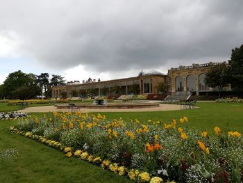 View of flowering plants against cloudy sky