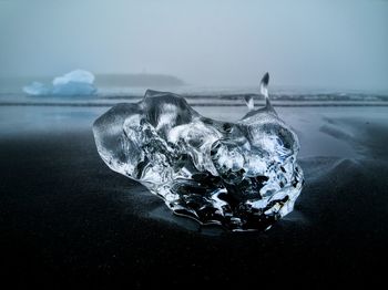 Close-up of ice on beach against sky