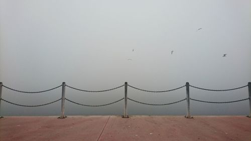 Birds flying against clear sky