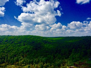 Scenic view of forest against sky