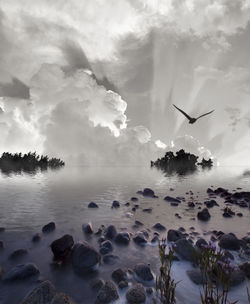 Bird flying over sea