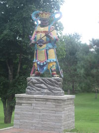 Woman standing on tree trunk