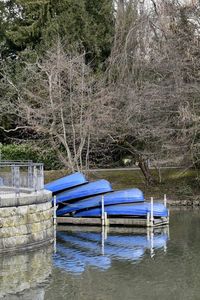 Deck chairs against trees in water