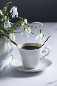 Still life with snowdrops in a ceramic vase like a swan, coffee in a white cup