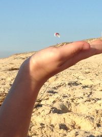 Close-up of hand holding lizard on beach against clear sky