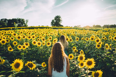 Rear view of woman standing on sunflower field against sky