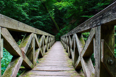 View of footbridge in forest