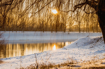 Scenic view of river and trees during sunrise